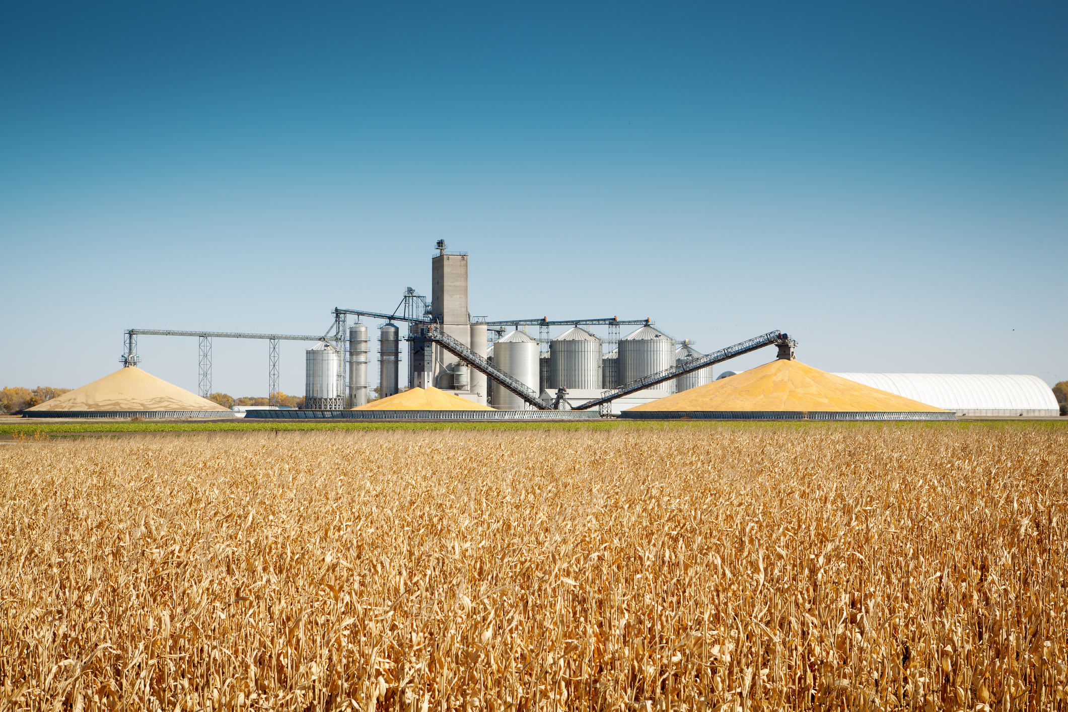Продукты сельскохозяйственного производства. Переработка зерна. Хранение зерна. Элеватор это что такое в сельском хозяйстве. Зернохранилище в поле.